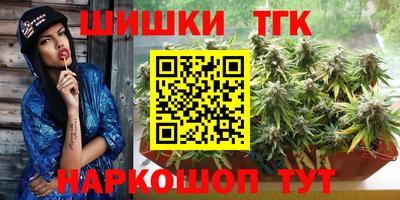 МДПВ Лесосибирск