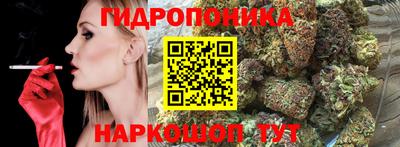 МДПВ Лесосибирск