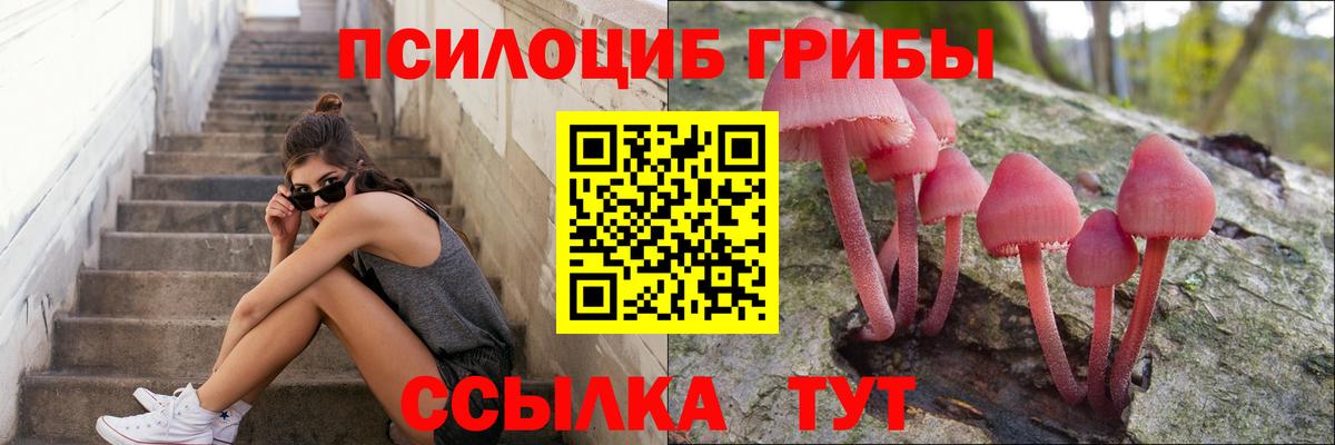 где найти   Галлюциногенные грибы ЛСД  Вход с VPN  Гай  Галлюциногенные грибы мицелий 
